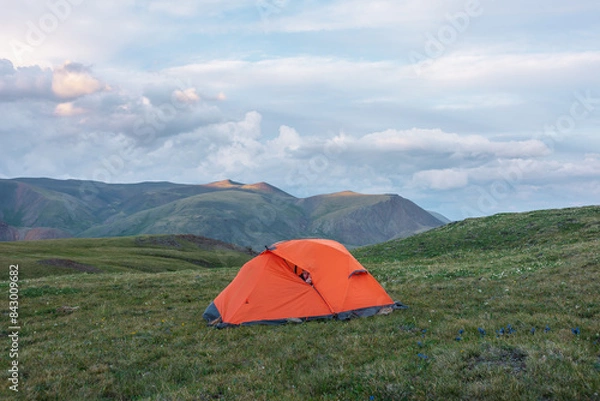 Fototapeta Man peeking out of vivid orange tent on grassy flowering hill with view to multicolor mountain under cloudy sky. Sunlit mountain tops of sunset colors. Twilight alpine landscape with colorful tops.
