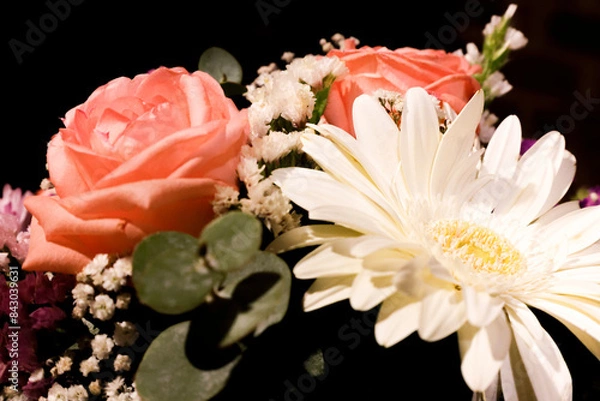 Obraz Beautiful flowers