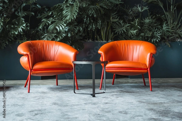 Fototapeta Orange lounge chairs on a gray carpet with a dark background with monstera plants. I small round coffee table completes this modern and minimalistic interior design