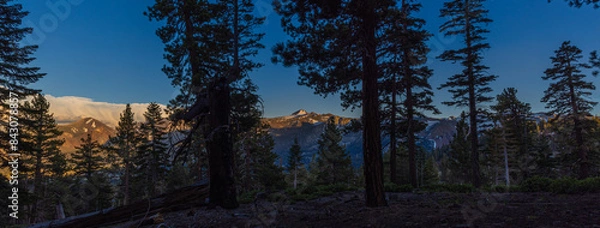 Obraz Sunrise In The Forest