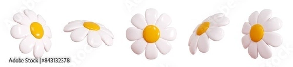 Obraz Daisy plastic flower flying in different angles of view cartoon icon 3d render illustration. Cute chamomile bubble bloom with white petals for spring and summer design. Abstract glossy balloon blossom