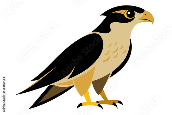 Fototapeta Red-tailed Hawk different style vector illustration line art
