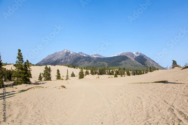 Obraz Pustynia Carcross