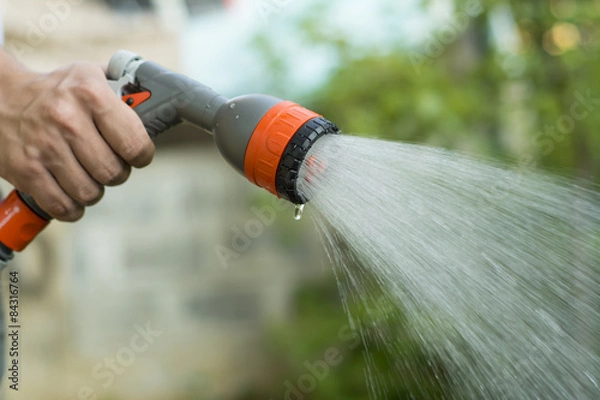 Obraz watering the garden