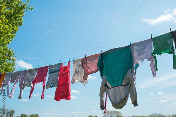 Fototapeta Fresh washed laundry drying outside