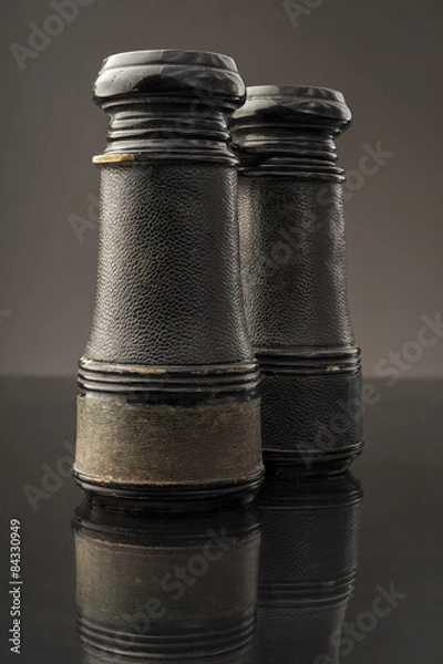 Obraz Antique Binoculars