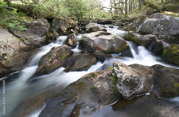 Obraz The River Plym. Its source is 450m above sea level on Dartmoor.