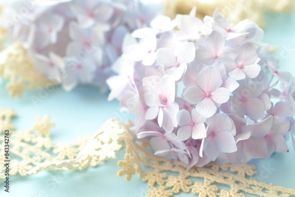 Fototapeta 紫陽花とレース