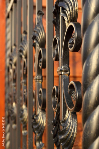 Fototapeta Wrought-iron fence elements partially defocesed in perspective