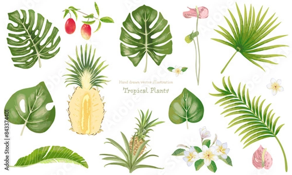 Fototapeta いろんな熱帯植物の素材セット