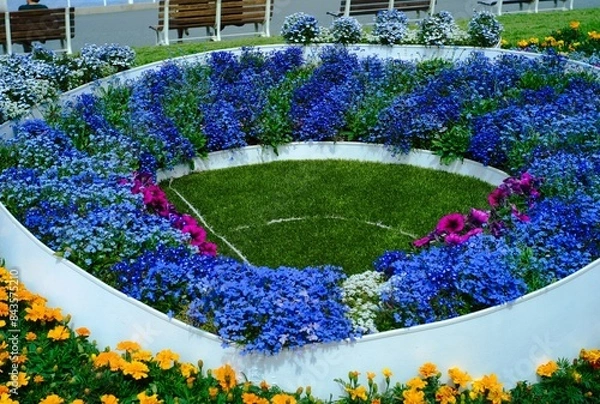 Fototapeta 綺麗な庭で撮影した色とりどりの花達