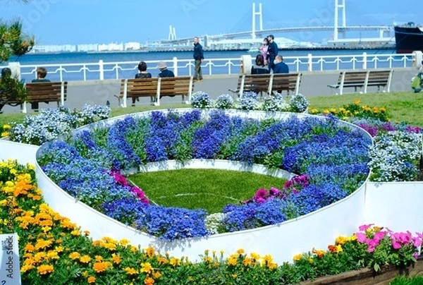 Fototapeta 綺麗な庭で撮影した色とりどりの花達