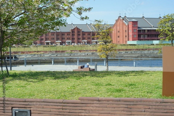 Fototapeta 綺麗な庭で撮影した色とりどりの花達