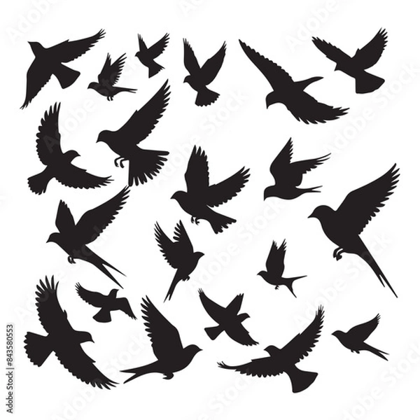 Obraz set of silhouettes of birds