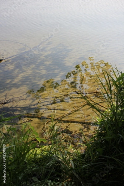 Fototapeta Shallow water along the lake shore.