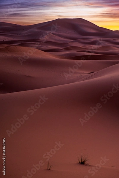 Obraz サハラ砂漠の夜明け前