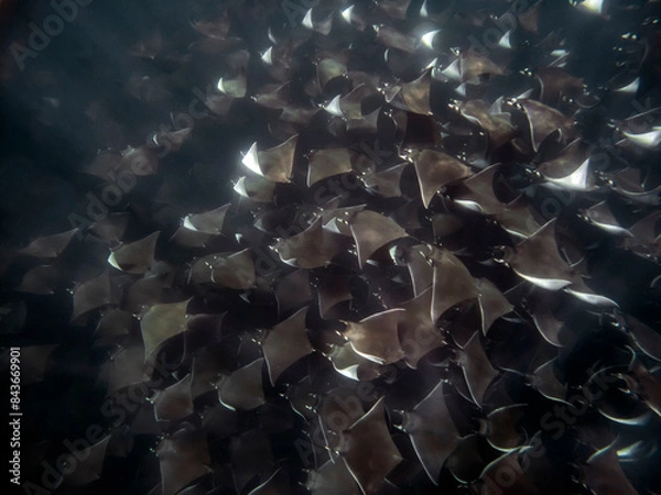 Fototapeta C:\DCIM\101GOPRO\G0632036.GPR