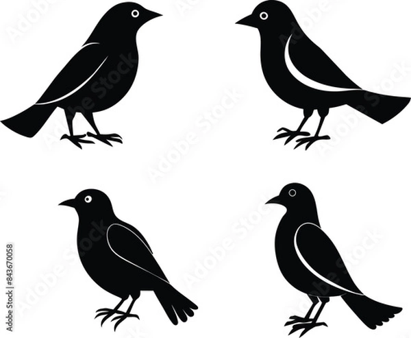 Obraz set of black bird silhouettes vector elements vector