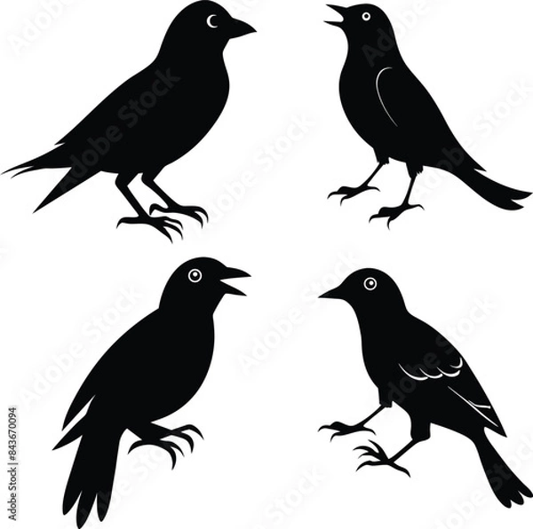 Obraz set of black bird silhouettes vector elements vector