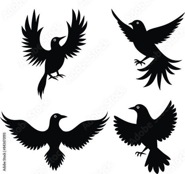 Obraz set of black bird silhouettes vector elements vector