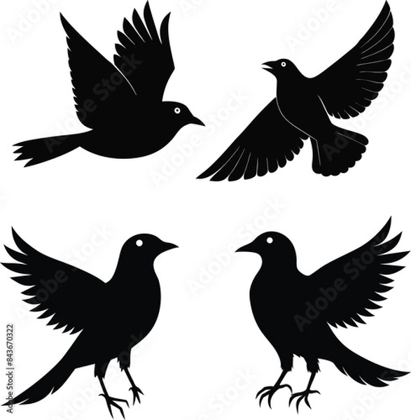Obraz set of black bird silhouettes vector elements vector