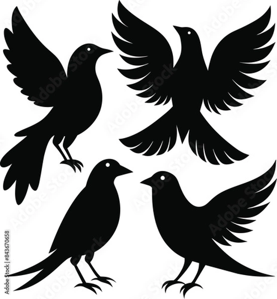 Obraz set of black bird silhouettes vector elements vector