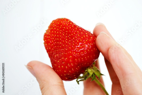 Fototapeta hand is holding a fresh, ripe strawberry. The strawberry is vibrant red in color, with small seeds visible on its surface.  image captures the essence of summer with a delicious strawberry 