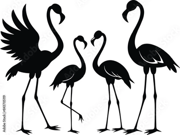 Obraz flamingo black vector silhouette