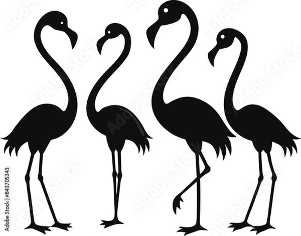 Obraz flamingo black vector silhouette