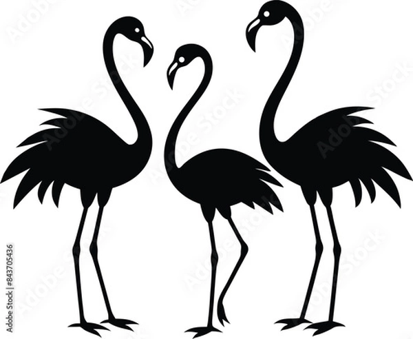 Obraz flamingo black vector silhouette
