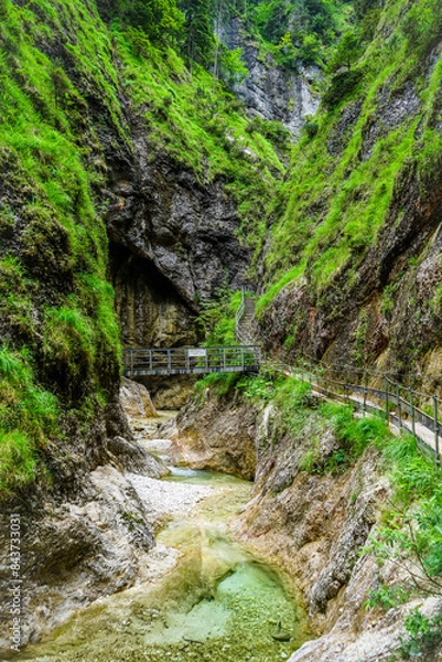 Obraz waterfall in the forest