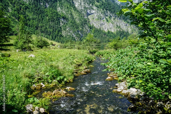 Fototapeta path in the mountains