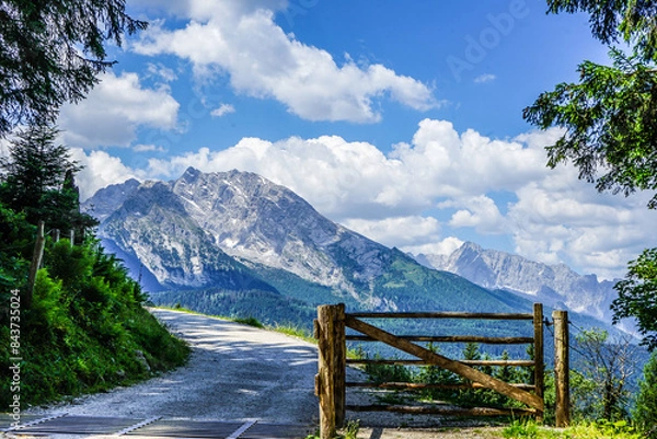 Obraz landscape with fence