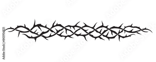 Fototapeta black crown of thorns image isolated on white background