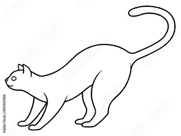 Fototapeta A single line drawing of a cat stretching