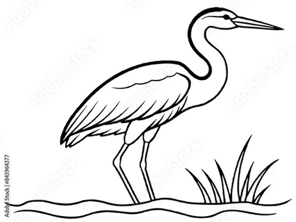 Fototapeta A graceful heron standing in a pond in line art style