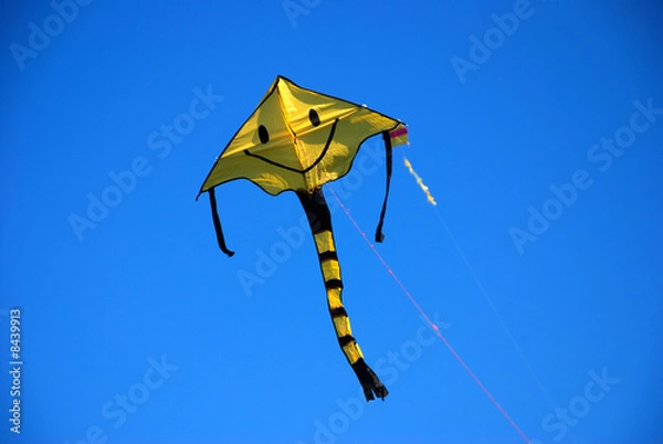 Obraz flying kite