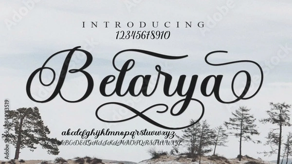 Obraz Luxury alphabet letters font. Classic Lettering Minimal Fashion Designs. Typography sans serif simple wedding logo fonts and number. vector illustration
