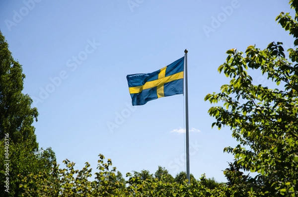 Fototapeta Backlit swedish flag