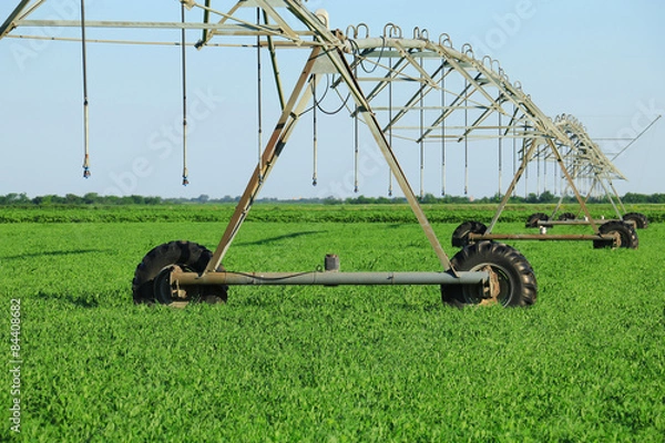 Obraz Crop Irrigation using the center pivot sprinkler system