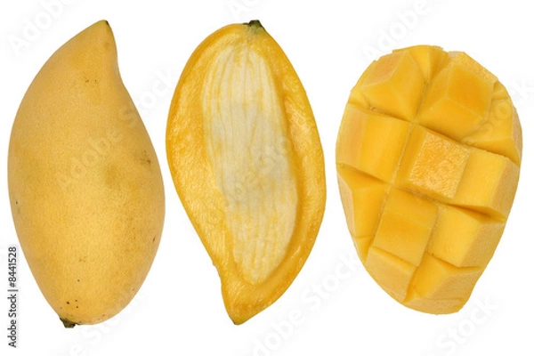 Obraz Mango