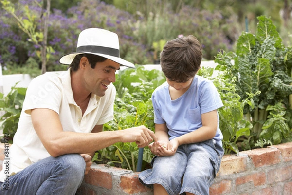 Fototapeta Mother And Son Working In Vegetable Garden