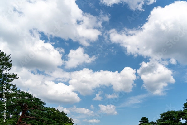 Fototapeta 青空と白い雲