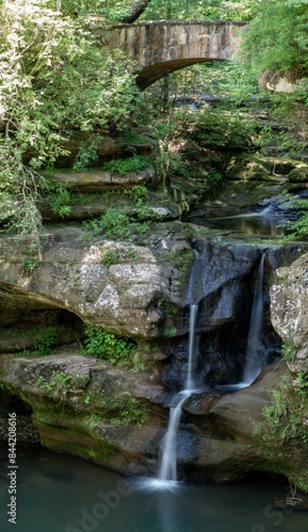 Obraz waterfall in the forest
