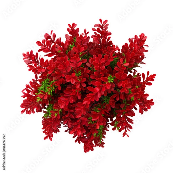 Obraz Vibrant red flowers with lush green leaves, perfect for nature, garden, and decoration themes. High-resolution image for versatile use.