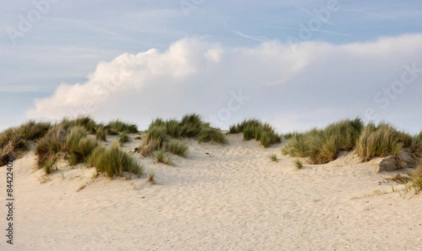 Fototapeta sand dunes with grass against a blue sky with clouds
