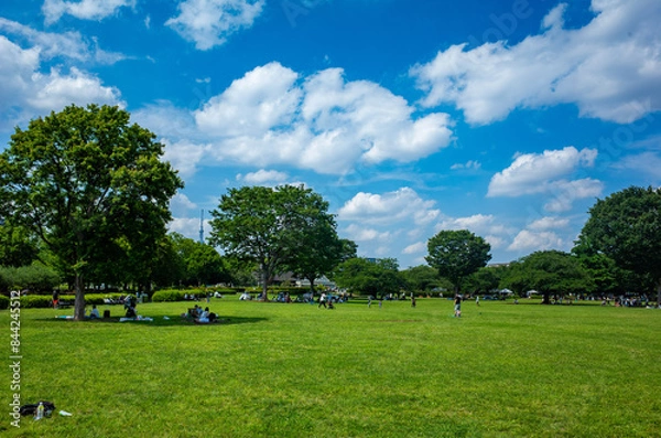 Obraz 東京・木場公園