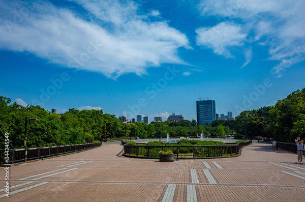 Obraz 東京・木場公園