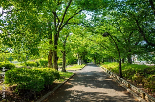 Fototapeta 都立猿江恩賜公園