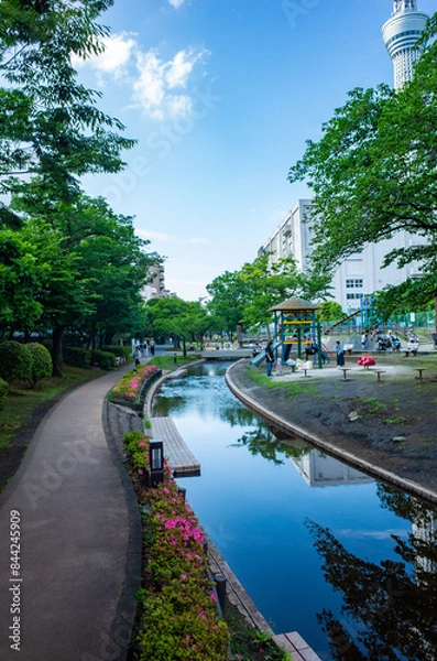 Obraz 大横川親水公園と東京スカイツリー